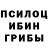 Галлюциногенные грибы мухоморы Kim Tamara