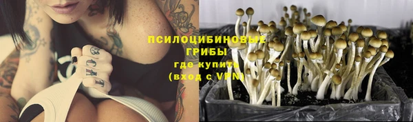 дурь Покровск