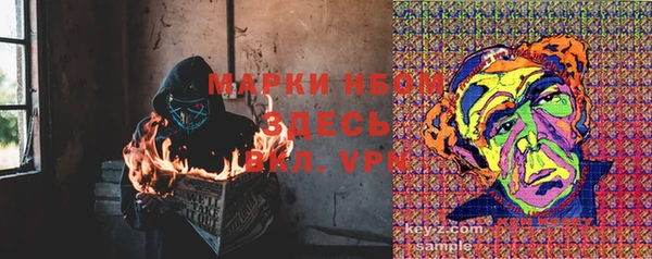 прущие грибы Покров