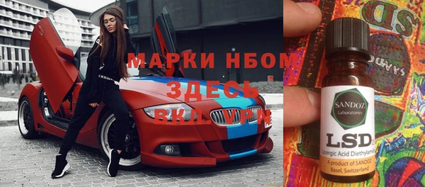 прущие грибы Покров