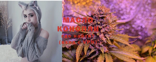 прущие грибы Покров