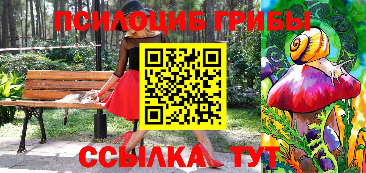 Псилоцибиновые грибы GOLDEN TEACHER  сколько стоит  Псилоцибиновые грибы ЛСД  Анапа  Вход с VPN 