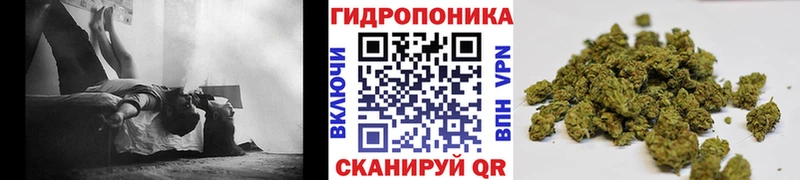 МАРИХУАНА Ganja  Анапа 